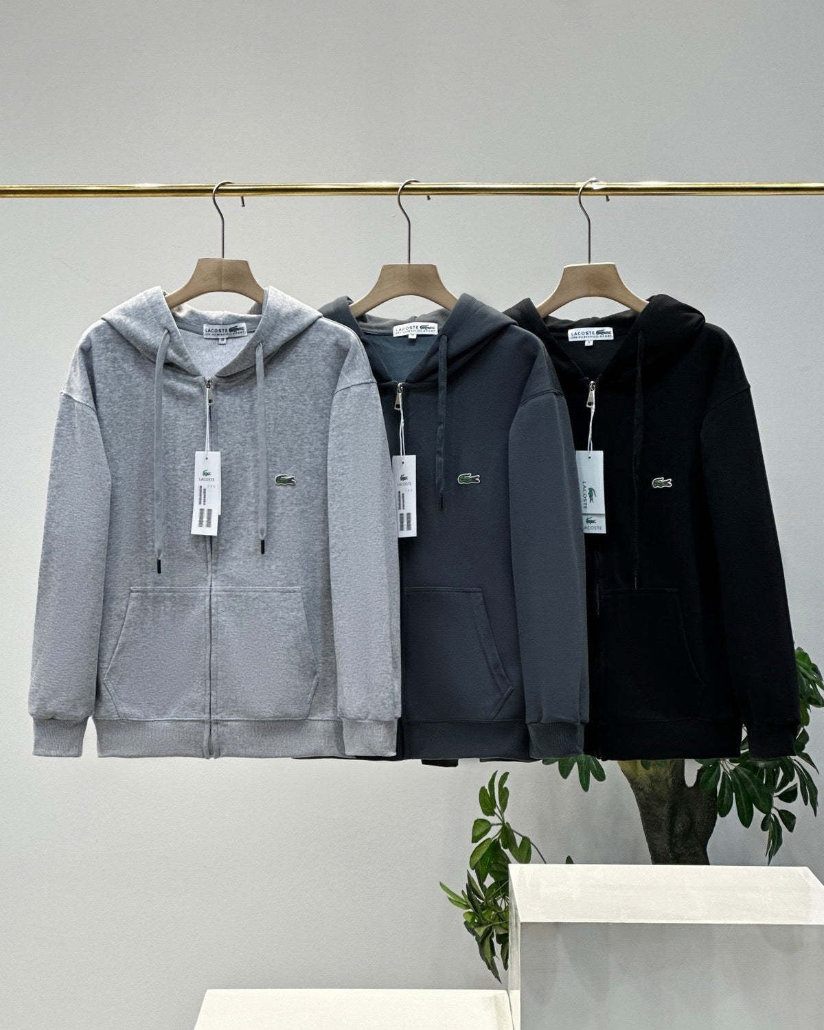 Lacoste Hoodie